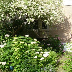 Meet your Posher, Deborah